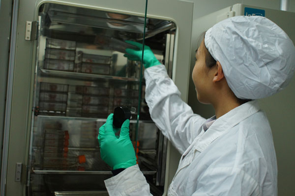 ����������